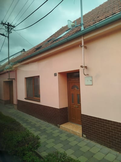 The image shows the facade of a pale pink house with a brown brick lower section in the city of Blučina, Czechia. The house has a red tiled roof and a wooden front door with glass panels. A house number "69" is affixed to the wall next to the door. A window with brown trim is visible to the left of the door. A paved walkway with alternating green and grey rectangular stones runs along the front of the house, bordered by green bushes on the left. Overhead, power lines and a utility pole are visible against a cloudy sky. A satellite dish is mounted on the roof.