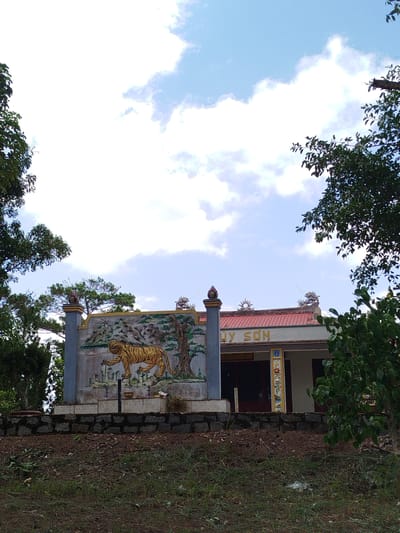 The image shows a building with a red roof and a white facade, possibly a temple or shrine, located in Tuý Sơn, Vietnam. Above the entrance, the words "HUÝ SON" are visible in light-colored lettering. The building is adorned with decorative elements, including a prominent mural on the left depicting a golden tiger walking through a landscape with trees and mountains. The mural is mounted on a grey pillar and a tiled base, which is surrounded by a dark stone wall. Several trees with lush green foliage frame the scene, with branches extending into the upper portion of the image. The sky above is a mix of bright white clouds and patches of blue. The foreground consists of a grassy slope with dry leaves and scattered debris.