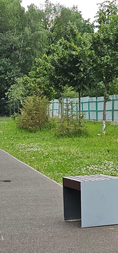 The image shows a park scene with a paved pathway in the foreground leading to a light blue and brown bench. Beyond the pathway is a grassy area dotted with small white flowers. Several small evergreen trees are planted in the grass, with larger deciduous trees and foliage in the background. A light green, translucent fence runs along the back of the grassy area, separating it from more trees. The sky above is overcast and white. The location is identified as Butovo, Russia, indicating an urban park setting. There are no people or animals visible in the image.