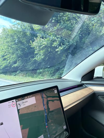 The image shows the interior of a car, likely a Tesla, viewed from the passenger seat. The driver's touchscreen display is prominently featured, showing a navigation map with a route highlighted in blue. The map indicates a distance of 34 km remaining and the current time is 11:29. The outside temperature is 24°C. A speed limit indicator shows 60 km/h. The car is traveling on a road with trees and foliage visible on either side through the windshield. The dashboard has a wood-grain trim and ambient lighting. The sky is visible through the windshield and the rearview mirror. No people are visible in the image. The scene appears to be a snapshot of a road trip. The location is identified as Ivanski, Bulgaria.
