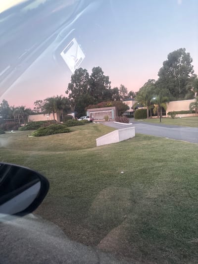 The image shows a view from inside a car, looking out onto a green, grassy landscape. A road or driveway winds through the greenery, bordered by trees and manicured hedges. Buildings are visible in the background, suggesting a residential or commercial area. The sky is a soft gradient of colors, hinting at dawn or dusk. The car's dashboard and side mirror are visible in the foreground, adding perspective.