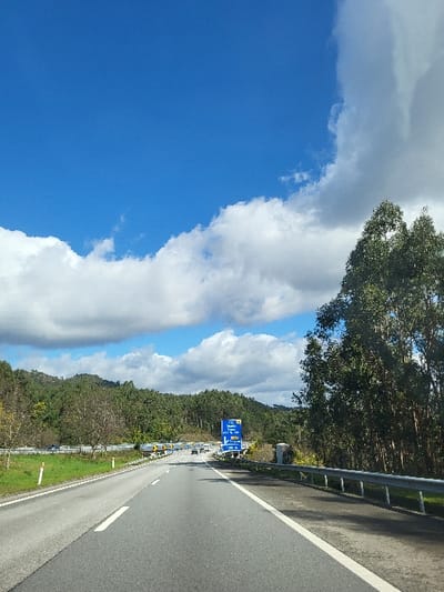 The image depicts a multi-lane asphalt highway on a clear day within or near the municipality of Oliveira de Frades, Portugal. The perspective is from a vehicle traveling forward. The road features a solid white line on the right shoulder and a broken white line separating lanes in the direction of travel. To the right, a metallic guardrail runs parallel to the road, beyond which is a dense stand of tall eucalyptus trees. Further along the right side, a prominent blue road sign provides directional information, displaying "IP3," "IC2," and "Viseu" on its left panel, and "A25" and "Viseu" with a right-pointing arrow on its right panel, indicating an upcoming exit or merge. To the left of the highway, a grassy verge with white-and-orange reflective posts precedes another metallic guardrail. Beyond this, a series of rolling hills covered in dense green deciduous and coniferous trees extends into the distance. Several vehicles, including cars and trucks, are visible in the far distance on the highway and potentially an adjacent road. The sky above is bright blue with scattered white cumulus clouds.