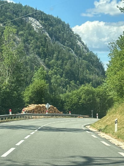 The image depicts a winding asphalt road in a mountainous, forested region, likely near Les Rousses, France, given the context. A large pile of freshly cut logs is stacked to the left of the road, adjacent to a guardrail. The road is marked with white dashed and solid lines. The surrounding environment is characterized by steep, tree-covered slopes and a partly cloudy blue sky. A few white and red posts mark the side of the road. There are no people or vehicles visible in the image.
