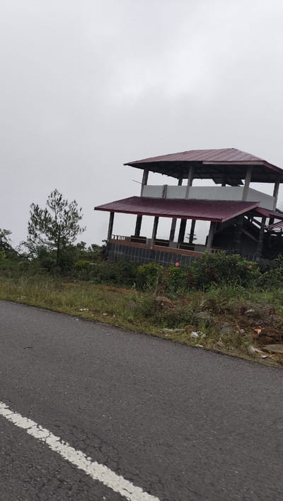 The image depicts an outdoor scene on a cloudy day, featuring a two-tiered open-air structure with a red corrugated metal roof, situated on a hillside. The structure appears to be made of concrete and wood, with wooden railings on the upper level and concrete pillars supporting both levels. Below the structure, there is dense vegetation, including green bushes and some pink flowers. A solitary pine tree stands to the left of the structure. In the foreground, a section of an asphalt road with a white line is visible. The overall atmosphere is muted due to the overcast sky, suggesting a cool or damp environment. The scene is likely a rest stop or viewpoint along a road in a natural setting, possibly within or near the city of Bintangpermata, Indonesia, given the vegetation and building style. There are no people or animals visible in the image.