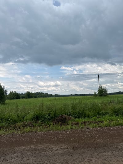 The image depicts a rural landscape under a cloudy sky, situated in Zmeyevka, Russia. The foreground is a dirt road, rough and uneven, with scattered pebbles and a darker, slightly damp appearance. To the right of the road, a band of green grass and vegetation extends horizontally, interspersed with darker soil and some dry vegetation. Beyond this, a vast, flat field of tall green grass stretches towards a distant treeline. The treeline is a dark, dense band of deciduous trees forming the horizon. In the middle ground, a single utility pole with wires stretches across the frame, and to its right, a small, bushy green tree stands in the field. The sky is heavily overcast with dark grey clouds, though patches of lighter sky and some fluffy white clouds are visible, suggesting it is daytime. The overall impression is one of a natural, uncultivated rural setting.