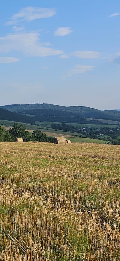 The image shows a rural landscape in Beňadikovce, Slovakia. The foreground is a field of dry, cut stalks of grain, with some green grass growing between them. In the midground, there are several round bales of hay scattered across a green field. Behind the hay bales, there is a line of trees, and beyond that, a small village is nestled in a valley. The village features houses with red roofs and other structures. Further in the background, rolling hills covered in dark green trees rise up against a clear blue sky with a few wispy white clouds. The overall scene depicts a harvested agricultural landscape under a bright, sunny sky.