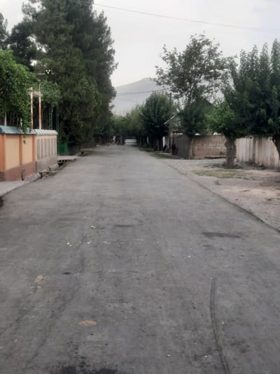 The image depicts a street scene in Восеабад, Tajikistan. The road is paved and appears to be in moderate condition, with some debris scattered on the surface. On the left side of the road, there is a low, tan-colored wall with a decorative pattern and a fence. Adjacent to the wall, a lush green tree with extensive foliage stands tall. Further down the street, several people, including children, are visible walking with bicycles. On the right side of the road, a brick wall runs along the perimeter of properties, with trees planted sporadically. The background shows a hazy mountainous landscape under an overcast sky. A traffic light with three green lights is visible above the wall on the left. The overall atmosphere suggests a residential area in a rural or semi-urban setting.