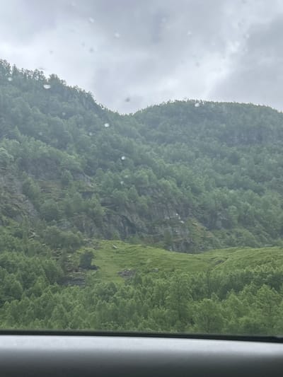 This image depicts a scenic mountain landscape in Røldal, Norway. The foreground shows a dark, textured surface, possibly the dashboard of a vehicle, suggesting the photo was taken from inside. Above this, the midground is dominated by a dense forest of green trees covering the lower slopes of a large mountain. The trees are varied in height and density, creating a textured appearance. Patches of rock and lighter green grassy areas are visible interspersed with the trees on the mountain face. The upper part of the image features the steep, rocky incline of the mountain, also sparsely covered with trees and vegetation. The sky is overcast and grey, with visible raindrops on what appears to be a window or lens, obscuring parts of the upper sky and the distant mountain peaks. The overall atmosphere is one of a damp, natural environment.