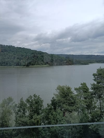 The image shows a wide, calm body of water, likely a lake, under an overcast sky. The water's surface is rippled, suggesting a light breeze. The background is dominated by a densely forested hillside that slopes down to the water's edge. The trees are predominantly deciduous, with various shades of green foliage. In the distance, the forest continues across rolling hills, creating a lush, natural landscape.
The foreground features a line of trees, including some taller coniferous trees with darker green needles, and deciduous trees with lighter green leaves. A horizontal, reflective surface, possibly a glass railing or a window, runs across the bottom of the image, partially obscuring the lower part of the trees and their reflections.
There are two small figures in what appears to be a boat on the water in the middle distance, positioned to the left of center. The overall atmosphere is serene and natural, typical of a lakeside landscape on a cloudy day. The location is identified as the Mácha Lake in Doksy, Czechia, known for its scenic beauty and recreational activities.