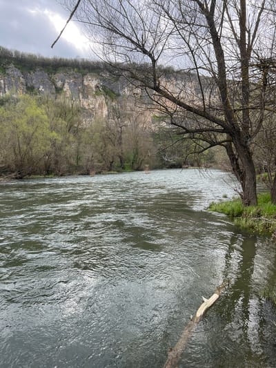 The image depicts a river flowing through a landscape with a cliff face on one side and trees lining the riverbanks. The river water is moving, with visible ripples and reflections. A large tree branch lies partially submerged in the river. The trees lining the riverbank show early signs of spring foliage. The cliff face is weathered and textured, with some vegetation growing on its surface. The sky is overcast, suggesting a cloudy day. There are no people visible in the image. Barkach, Bulgaria is referenced.