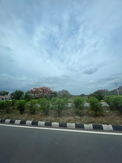 The image captures a roadside scene under a cloudy sky, likely in or around Addakal, India, given the distinct rocky terrain and vegetation. In the foreground, a dark asphalt road is visible with a distinctive black and white striped curb. Beyond the curb, a strip of dry grass and scattered debris leads to a line of neatly trimmed, dense green bushes.
Further back, the landscape opens up to reveal a variety of trees. A prominent tree with vibrant orange-red flowers stands out against the greenery. The background is characterized by rolling hills with rocky outcrops, typical of the Addakal region. A utility pole with a crossbar is visible on the right side of the frame, and power lines stretch across the horizon. A white vehicle, possibly a van or truck, is partially visible on the left, adorned with items on its roof, suggesting it may be a transport vehicle. The overall impression is a rural or semi-rural setting with a focus on natural elements and infrastructure.