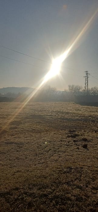 The image depicts an open, frosted field under a clear, bright sky in Rakevo, Bulgaria. The sun, positioned low in the upper-middle right quadrant, emits a strong lens flare and illuminates the scene with a golden hue. The field, occupying the foreground and midground, is covered with low, dormant vegetation visibly coated in white frost. Two dark, horizontal power lines traverse the upper half of the frame. Towards the right side of the horizon, a metal lattice electricity pylon stands erect. A line of bare deciduous trees runs along the distant horizon, behind which low hills are visible on the far left. No individuals or animals are present. The environment indicates a cold, clear day, likely morning or late afternoon.