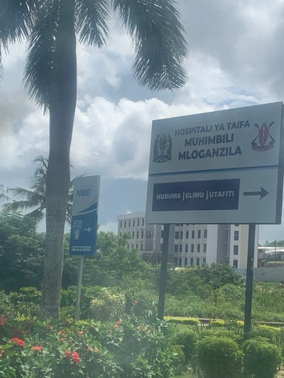 The image shows a street scene in Mloganzila, Tanzania. A sign indicates the direction to Hospitali ya Taifa Muhimbili Mloganzila, pointing straight ahead. A second sign advertises an ATM of NMB bank, also pointing straight ahead. The background includes a multi-story building partially obscured by trees. The sky is cloudy, and the foreground contains the trunk of a palm tree and some flowering plants.