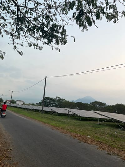 A person on a scooter is seen from behind, traveling on a paved road that borders a large solar panel array. The scooter is white and the rider wears a red shirt. The solar panels are arranged in neat rows and are mounted on metal frames. Behind the solar panels, there is a line of trees, and further in the distance, a hazy mountain range is visible. Overhead, tree branches with green leaves extend into the frame from the top. The sky is overcast. In the background, there are some buildings, including what appears to be a large white structure. The scene is set in an outdoor environment, likely in a rural or semi-rural area.