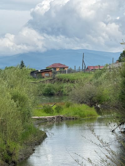 The image depicts a rural scene in the village of Zhemchug, Russia, featuring a winding river in the foreground and a cluster of buildings and a distant mountain range in the background. The river, with its calm, reflective surface, flows from the left side of the frame towards the right, bordered by lush green vegetation and muddy banks. On the right bank, a fallen tree trunk lies partially submerged in the water, with branches extending towards the grassy bank.
In the middle ground, several rustic wooden structures are visible on a grassy incline. One building has a weathered wooden facade and a visible window. Another building behind it appears to have a red corrugated metal roof. A wooden fence, with posts and horizontal planks, encloses part of the area. A single, dark green conifer tree stands behind the buildings, and a wooden utility pole with wires is also present. The landscape is characterized by rolling hills covered in dense green grass and bushes, with a prominent mountain range in the far distance, shrouded in a hazy blue hue. The sky above is filled with dramatic, heavy clouds, suggesting overcast or impending weather. No people are visible in the image.