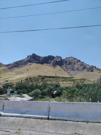 The image depicts a landscape with a prominent mountain range in the background under a clear blue sky. In the foreground, a white concrete barrier runs horizontally across the frame, separating a paved road from the rest of the scene. Behind the barrier, a cluster of trees and vegetation is visible, with a mosque featuring green domes and a minaret on the left side. Further back, the terrain slopes upwards, dotted with sparse trees and a patterned area that appears to be a plantation or cultivated land. The mountain range itself is rugged and rocky, with dry, grassy slopes leading up to its craggy peaks. The overall impression is one of a rural or semi-rural setting in a mountainous region. The location is identified as Qaynar MFY, Uzbekistan.
