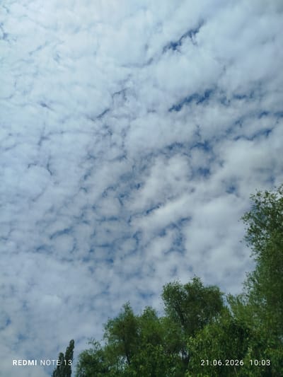 The image captures a sky filled with fluffy white clouds against a backdrop of bright blue. Below the expansive sky, the tops of lush green trees are visible, their foliage suggesting a vibrant natural setting. The sun appears to be high in the sky, casting a bright light that illuminates the clouds and the leaves of the trees. The overall scene evokes a sense of a clear and pleasant day, possibly in the late morning or early afternoon given the lighting.

The bottom left corner of the image displays the text "REDMI NOTE 13". In the bottom right corner, a timestamp reads "21.06.2026 10:03". The location context provided is Асан-Чек, Kyrgyzstan, which aligns with the natural scenery depicted. There are no people or specific objects of interest other than the natural elements of the sky and trees. The activity taking place is simply the observation of the sky and the surrounding greenery, suggesting a moment of calm or an outdoor activity.