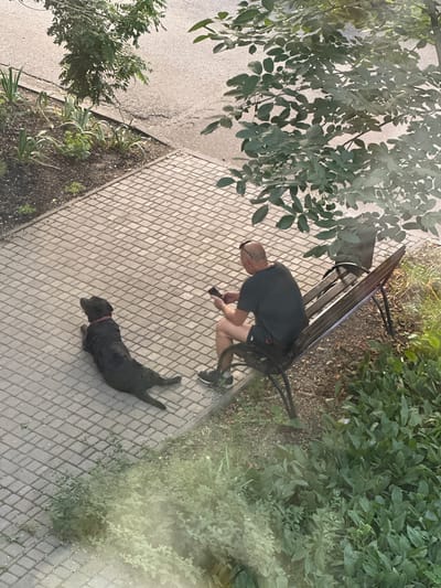 A man sits on a park bench, looking at his phone. Beside him, a black dog lies on the paved ground, looking up at the man. The scene appears to be in a park or public outdoor space in the city of Chornomorske, Ukraine. There are trees and vegetation surrounding the area, and the ground is covered with paving stones. The man is wearing a dark t-shirt and shorts. The dog has a red collar. The lighting suggests it is daytime.