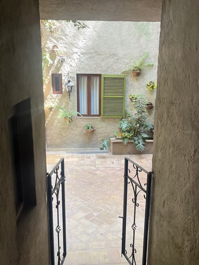 The image displays a sunlit outdoor courtyard in Santa Ana Portales, Mexico, viewed from a shadowed, narrow entryway. In the immediate foreground, two open black wrought iron gates, featuring intricate scrollwork and vertical bars, frame the view. The ground of the courtyard is paved with light brown rectangular tiles arranged in a patterned design, across which a linear metal drain grate is visible. Two square metal access covers are also present on the paving. The background consists of a textured, light-colored stucco wall illuminated by direct sunlight. This wall features a smaller, dark brown rectangular window on the left, and a larger dark brown wooden-framed double window with white curtains in the center, flanked by a single open green louvered shutter to its right. A black metal lantern with clear glass panels is mounted between the windows. The wall is further adorned with various potted plants, including ferns, in wall-mounted planters and a larger leafy plant contained within a built-in planter box at the base of the wall on the right. A small, light-colored dome-shaped object, possibly a security camera, is mounted high on the upper left section of the wall. The scene is uninhabited.