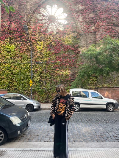 A woman stands on a cobblestone street between two parked cars in Olivos, Argentina. To her left is a brick building covered in ivy, with red and green leaves. A decorative circular window with a flower-like design is visible on the building. A street lamp is positioned in front of the ivy-covered wall. The woman is wearing black pants with white stripes and a patterned jacket. A white van is parked next to the woman on the opposite side of the street.