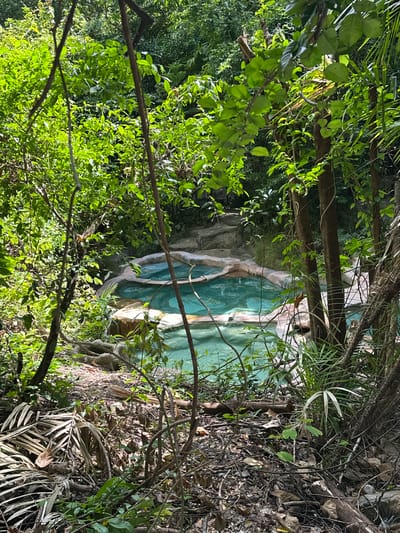 The image shows a natural hot spring pool surrounded by lush green foliage in Khlong Thom Nuea, Thailand. The pool is irregularly shaped with a light-colored stone border. The water is a clear turquoise color, and the surrounding area is dense with tropical vegetation, including trees, leaves, and branches. The ground is covered with fallen leaves and twigs. The scene is bathed in natural sunlight filtering through the canopy. No people are visible in the image.