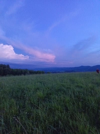 The image depicts a wide, grassy field under a twilight sky, possibly in or around Sadovyi, Russia. The sky is a deep blue with streaks of pink and white clouds, illuminated by the setting sun. In the distance, a line of dark trees borders the field, behind which lie rolling hills and mountains. On the right side of the field, a solitary person in a red top can be seen in the distance. The grass in the foreground is tall and green, with some blades appearing to sway. The overall atmosphere is serene and natural.