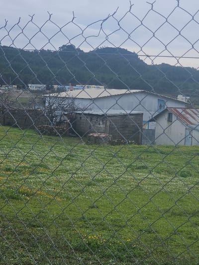 The image depicts an outdoor scene in Moqrisset, Morocco, viewed through a chain-link fence that occupies the entire foreground. The fence is composed of grey metal wires forming diamond patterns, with several bent or frayed wires visible along its upper edge.

Immediately behind the fence, a verdant field extends across the lower half of the frame. This field is densely covered with small white and yellow wildflowers interspersed within the green grass.

In the midground, several structures are visible. To the left, a derelict or unfinished building constructed from grey concrete blocks stands, partially obscured by a leafless tree. To its right, a larger, light-grey industrial-style building with a white sloped roof is present, featuring a distinct blue door or shutter on its visible side. Further right, a smaller, white-walled building with a rusty, corrugated metal roof is partially visible. In the distant midground, a cluster of additional light-colored buildings, some with blue accents, can be observed.

The background is dominated by a large, dark green mountain or hill range, densely covered with trees. The sky above is overcast, presenting a uniform light grey hue. No individuals are present, and no actions or interactions are depicted.