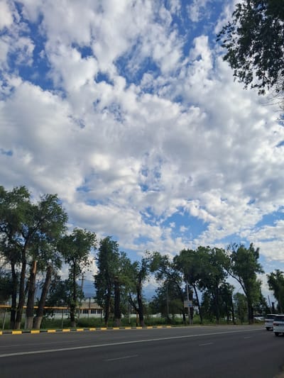 The image shows a wide, paved road with a double white line down the center. The road is bordered by a curb with alternating yellow and black markings. On the left side of the road, a row of tall, mature trees with full green canopies lines the street. Behind the trees, there is a metal fence and what appears to be a low building or structure with a light-colored facade and darker windows. Further back, a power line is visible. The sky above is a vibrant blue, filled with numerous fluffy white clouds. In the distance, on the right side of the road, two white SUVs are parked. The overall scene suggests a location along a highway or a main road on the outskirts of a city or town, likely in a suburban or rural setting, given the presence of mature trees and open sky. The location is identified as Güldala, Kazakhstan.