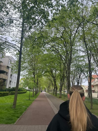 The image shows a tree-lined walkway in Noisiel, France. The walkway is made of reddish-brown asphalt and bordered by green grass and neatly trimmed hedges on one side, and grey pavement on the other. Buildings are visible behind the trees. On the right side of the frame, a woman with blonde hair tied in a ponytail is partially visible. The trees are in full leaf, creating a canopy over the walkway. The sky is overcast. Other pedestrians appear in the distance, walking along the path.