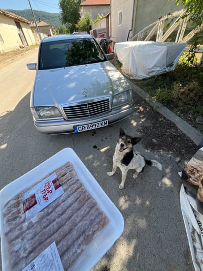 The image shows a dog in front of a silver Mercedes-Benz car. The dog is black and white with its mouth open, appearing excited or panting. The car is parked on an asphalt road next to a curb. In the foreground, to the right of the car, is a white tray filled with what appears to be uncooked kebapcheta, a type of Bulgarian sausage. A label on the tray reads "ЦЪР ПЪР" which translates to "Tsyr Pyr" and also "Вкус, който помниш!" meaning "A taste you remember!". Another label indicates "КЕБАПЧЕТА 10x100g" (Kebapcheta 10x100g) and "ОРИГИНАЛ" (Original). The license plate on the car is visible and reads "CB 8992 KM" with "BG" indicating Bulgaria. In the background, there are houses with terracotta roofs, some trees, and a hill. The scene suggests an outdoor setting, possibly a residential area in a village, under bright daylight conditions. The overall impression is a snapshot of everyday life in Bulgaria, with a focus on local food and a friendly dog.