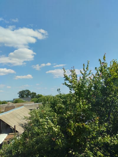 This is a vertical, eye-level, outdoor photograph taken on a sunny day. The scene depicts a rural landscape with a clear blue sky filled with scattered white clouds. In the foreground, lush green trees and bushes dominate the right side of the frame, with their leaves appearing vibrant and healthy.
Behind the foliage, several roofs of houses are visible, suggesting a residential area. These roofs appear to be made of corrugated material, some weathered and aged, indicating an older settlement. The architecture suggests a rustic, possibly Eastern European setting, consistent with the provided location context of Shchuchye, Russia.
The overall impression is one of a peaceful, rural summer day. The bright sunlight and clear sky suggest pleasant weather, likely midday. There are no people or animals visible in the frame, and no text is present. The image captures a tranquil moment in a village setting, characterized by natural elements and simple structures.