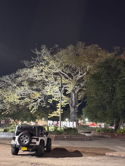 The image depicts a nighttime scene in Timaná, Colombia, specifically in a public park or plaza, indicated by the illuminated "YO ❤️ TIMANÁ" sign. In the foreground, a white two-door Jeep Wrangler, license plate HNV-857, is parked on a dirt surface. The vehicle has a black hardtop and a spare tire mounted on the rear. Adjacent to the Jeep, a mound of dark earth or debris rests on the ground. A brick-lined planter or curb separates the dirt area from a paved pathway leading into the park. Dominating the midground is a large, mature tree with light-green foliage, illuminated by artificial light, and a street light pole positioned in front of its trunk. To the right of this tree, another large tree with dense dark green foliage is visible. The background reveals additional park features, including faint lighting and a red and white striped canopy or umbrella structure on the far right. The sky is dark, with a faint crescent moon visible in the upper left quadrant. No individuals are present in the scene.