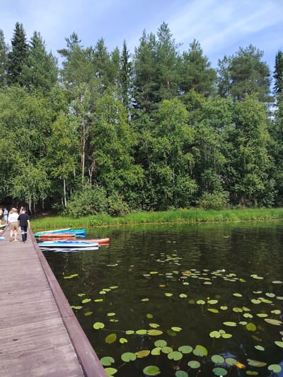 The image depicts a serene natural scene at a waterfront location, likely the city of Vyltydor, Russia. In the foreground, a wooden boardwalk stretches diagonally from the left, leading towards the water. Several people are walking on the boardwalk, appearing to be enjoying a leisurely stroll. In the water, a row of paddleboards are docked, ready for use. The water is dark and reflects the surrounding lush greenery. Lily pads are scattered across the surface, with a few small yellow and white flowers blooming amongst them. The background is dominated by a dense forest of various trees, with a clear blue sky above. The overall atmosphere is peaceful and inviting, suggesting a popular spot for outdoor recreation.
