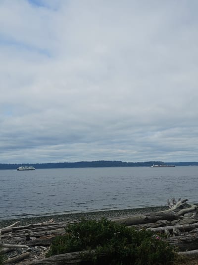 A wide-angle, eye-level, full-shot photograph captures a cloudy, overcast day on a body of water, possibly Puget Sound in Seattle, Washington. In the foreground, the shoreline is strewn with numerous pieces of driftwood and smooth grey pebbles. A small bush with pink flowers grows amongst the driftwood. In the mid-ground, the dark, rippling water is occupied by two vessels. On the left, a white ferry with green accents is moving from left to right. On the right, a long, brown and white cargo ship is also moving from left to right, further in the distance. The background is a dark, tree-covered shoreline, likely a peninsula. The sky is filled with dense, grey clouds, with a few lighter patches suggesting breaks.