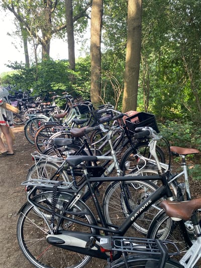 The image depicts a densely packed rack of bicycles in a wooded area. The bicycles are primarily Dutch-style, with upright handlebars, chain guards, and rear racks. Many have baskets, some made of plastic, affixed to the handlebars. The bikes are parked on a dirt path, with trees and lush green foliage forming the backdrop. In the foreground, a person is partially visible on the left side of the image, wearing a patterned dress and sandals, holding a straw-colored bag. The scene suggests a popular cycling route or a parking area near an outdoor recreational space. The presence of numerous parked bicycles strongly suggests this location is in or near Meppel, Netherlands, a city well-known for its extensive cycling infrastructure and scenic routes.