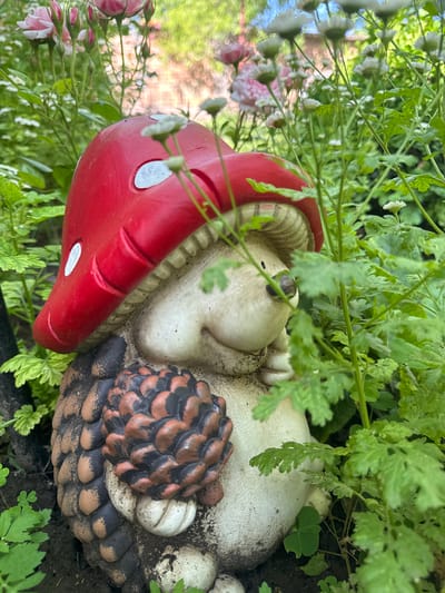 This is a close-up, eye-level, outdoor shot of a gnome figurine nestled amongst dense green foliage and flowers. The gnome, which appears to be made of ceramic or resin, is adorned with a red mushroom cap, white spots, and a textured, brown pinecone held in its hands. The figurine has a light-colored, rounded face with a subtle smile. In the background, out-of-focus pink roses and white daisies are visible, suggesting a garden setting. The lighting indicates it is daytime, with soft shadows and dappled sunlight. The exact location in Veselina, Bulgaria is not specified within the image itself.