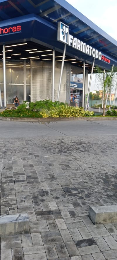 The image shows the exterior of a "Farmatodo" pharmacy located in Barquisimeto, Venezuela. The pharmacy has a blue facade with a prominent "FARM TODO" logo and "24 horas" (24 hours) signage. In front of the pharmacy, there is a paved area with cobblestone-like patterns, some of which appear wet. There is a decorative garden with lush green plants and small yellow flowers. Two individuals are visible on the right side of the entrance, one in a blue shirt and a dark cap, and another wearing an orange vest over a blue shirt and a cap. On the left side, a person is seated on a low concrete ledge near the entrance, wearing a dark top and a hat. The architecture features metal columns supporting the roof. In the background, there are other buildings and some greenery, suggesting an urban environment.