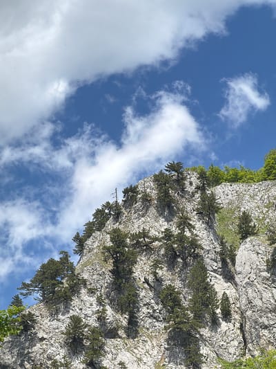 A low-angle shot shows a rugged cliff face with sparse trees growing from the rock. The cliff occupies the right side of the frame, contrasting with a blue sky and scattered white clouds on the left. The location is Dragovića Polje, Montenegro. No people are visible.