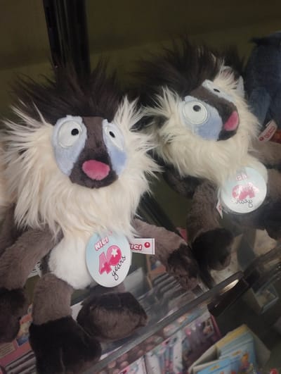 The image captures two NICI brand plush toys, resembling fantastical lemurs or shaggy creatures, displayed on a clear shelf in what appears to be a retail setting in Bellinzona, Switzerland. The primary subject is a plush toy positioned in the foreground on the left, with another similar toy partially visible behind it on the right. A dark blue plush toy is also partially seen on the far right.
Both prominent plush toys feature long, shaggy fur in shades of dark brown and cream/off-white. Their faces are characterized by large, wide-set black eyes, surrounded by distinct light blue patches. Each has a vibrant pink, slightly upturned nose, giving them a whimsical, somewhat surprised expression. The fur around their faces is particularly bushy and spiky, adding to their unique appearance. Their bodies are a mix of dark brown and cream, with dark brown limbs and feet.
Attached to the chest of the foreground plush is a circular white tag with a light blue border. Clearly visible text on this tag reads "NICI" at the top, and in a larger, stylized font, "40 years" with a pink star inside the "0". A similar tag is attached to the second plush, where "NICI" is discernible. Another small red tag with "NICI" in white text is visible on the blue plush in the background.
The toys are illuminated by artificial lighting, suggesting an indoor environment like a store or gift shop. Below the clear shelf, blurry shapes of other merchandise, possibly books or stationery, are visible on lower shelves. No specific activity is taking place beyond the display of these items for sale.