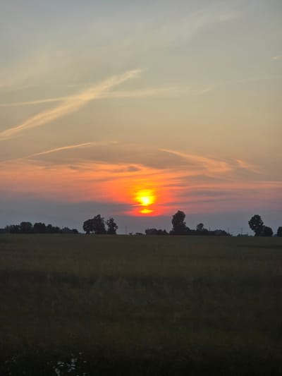 This is a landscape photograph of a sunset over a field in Ровенскаслабодскі сельскі Савет, Belarus. The sun is low on the horizon, casting a warm, orange glow across the sky and illuminating a band of wispy clouds. The sky transitions from a pale yellow near the sun to a light gray towards the top of the frame. Silhouetted trees and a faint line of what appear to be buildings or structures are visible along the horizon. To the right of the frame, a grassy field dominates the foreground, appearing darker and less detailed due to the fading light. The scene evokes a sense of tranquility and the end of a day. The time of day is clearly sunset, and the weather appears clear. There is no visible text in the image.
