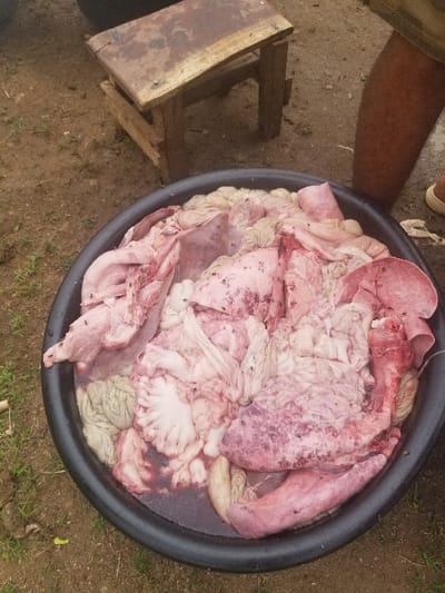 A black plastic basin containing raw animal organs, including a large, pink, oblong organ, a smaller, gray, ridged organ, and numerous smaller pink and white organs, is sitting on the ground. The basin is filled with a bloody liquid. A wooden stool is to the right of the basin. The lower leg and foot of a person wearing brown pants are visible in the upper right corner. The scene is located in Pati Ridge, Nigeria, at coordinates 7.81° N, 6.704° E. The ground is brown and covered in grass. The scene is likely a butcher shop or a market stall.