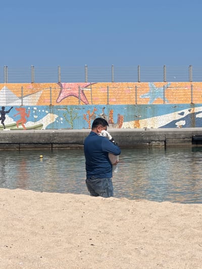 A man in a blue long-sleeve shirt and jeans stands at the edge of a concrete embankment holding a white and black dog. The concrete embankment separates water from a sandy area. Behind the man is a tall fence with a mosaic mural depicting marine life, including starfish, on it. The sky is clear blue. The location is Toseong-myeon, South Korea. A yellow object floats in the water.