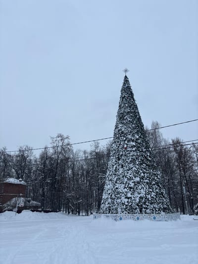 The image depicts a snowy winter scene in a public area of Furmanov, Russia. The central feature is a tall, conical artificial Christmas tree, heavily covered in fresh snow and adorned with scattered red spherical ornaments. An illuminated star-shaped finial crowns the tree's apex. The base of the tree is encircled by a low, circular barrier decorated with blue and white winter motifs. The foreground and visible ground areas are uniformly blanketed in deep snow, with a distinct path of footprints leading towards the tree from the lower-left. In the background, a dense line of bare, snow-dusted deciduous trees stretches across the frame. To the far left, partially visible behind the trees and snow, stands a multi-story brick building with a dark roofline, adjacent to which is a visible basketball hoop and backboard. Overhead utility lines span horizontally across the upper mid-section of the frame. The sky is uniformly overcast and light grey. No people are visible.