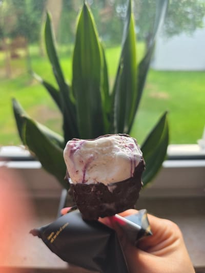 A close-up, brightly lit image shows a person's hand holding a partially eaten ice cream bar indoors, positioned near a window in Oyten, Germany. The ice cream bar features a thick, dark chocolate coating that covers most of its exterior. A portion of the chocolate has been bitten or broken off, revealing the ice cream inside. The exposed ice cream is predominantly white, with distinct swirls of purple or dark red, suggesting a fruit or berry ripple in a vanilla base.
The hand, visible on the right side of the frame, has light skin and gently holds the ice cream by its dark, slightly crumpled wrapper. Text is partially visible on the wrapper, reading "...entirio. and see side of carton," indicating product information or instructions.
In the blurred background, a vibrant green houseplant with broad leaves is positioned in front of a window. Beyond the window, an outdoor scene is visible, characterized by soft green hues of what appears to be grass or distant foliage, indicating a bright daytime setting. Natural light illuminates the scene, creating a warm and inviting atmosphere for enjoying the frozen treat. The image captures a casual, intimate moment of consumption.