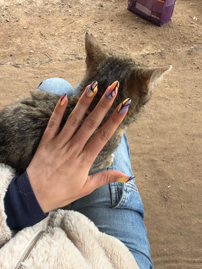 The image captures an overhead view of a person's hand petting a tabby cat, set outdoors on a dirt ground. The scene appears to be taking place during the daytime, with natural light illuminating the subjects. The location context provided is Debrashtitsa, Bulgaria.
The central subject is a person's hand, adorned with striking, long, pointed fingernails. These nails feature a vibrant, multicolored ombre design, transitioning from yellow and orange to pink, purple, and blue. Overlaying these colors are intricate black abstract lines, creating a pattern reminiscent of stained glass or butterfly wings. The hand is resting gently on the back of a short-haired tabby cat, whose fur shows a mix of brown, black, and grey stripes. Only the cat's back, one ear, and a few whiskers are visible, suggesting it is facing away from the camera.
The person is wearing blue denim jeans, a dark blue long-sleeved cuff on their arm, and a cream or white fluffy jacket, a portion of which is visible on the right side of the frame. The background consists of a textured, light brown dirt or gravel ground, implying an unpaved outdoor area. In the upper left corner, a purple package or container is partially visible on the ground; its text is indistinct but suggests product labeling, possibly including "PURINA." The image conveys a moment of calm interaction, likely showing affection or comfort, between the person and the cat.