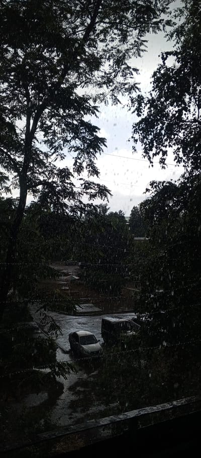 The image depicts a view from a window or balcony overlooking an outdoor scene during a rain shower. Large trees with dark foliage frame the top and sides of the image. The sky is overcast and light, with visible raindrops creating streaks against it. In the middle ground, a paved area, possibly a parking lot or courtyard, is wet and reflective from the rain. Two vehicles, a light-colored sedan and a darker SUV or van, are parked on the wet surface. Beyond the paved area, there are more trees and some structures, including what appears to be a small gazebo or shelter in the distance. The foreground shows a dark, textured railing. The overall atmosphere is one of a gloomy, rainy day in an urban or suburban setting. The image does not provide specific visual cues to confirm its location within Zhirnovsk, Russia.