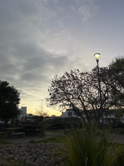 A sideways view shows a cloudy sky with a street lamp illuminating the scene. A large tree with dark branches is silhouetted against the sky. Buildings are visible in the background, bathed in an orange light. A stone path and lush greenery line the ground, suggesting a park or garden setting.