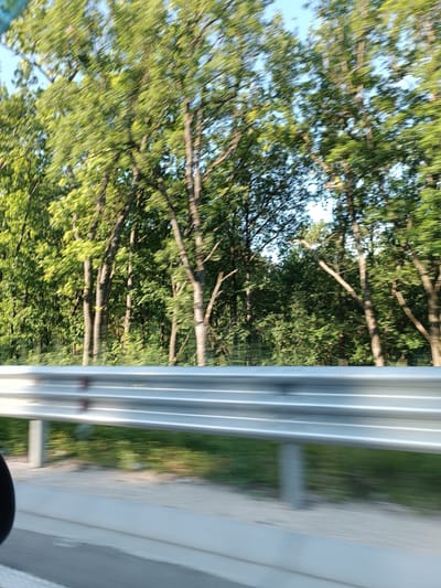 The image depicts a roadside view of trees and a metal guardrail, captured with motion blur, suggesting movement. The background is filled with lush green foliage and tree trunks, with patches of blue sky visible through the canopy. A silver metal guardrail runs horizontally across the lower portion of the image, with visible support posts. The ground beneath the guardrail appears to be a mix of gravel and pavement. The overall scene suggests an outdoor environment, possibly a road bordered by a wooded area. There are no people or specific landmarks visible that would definitively place this image in Rusca, Moldova.