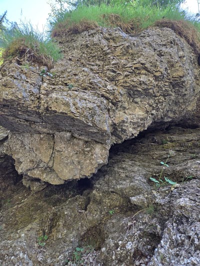 The image depicts a close-up view of a weathered rock formation, likely a cliff face or large boulder, in the municipality of Landl, Austria. The rock is rough and textured, with visible cracks and layers. Patches of green grass and vegetation grow along the top and sides of the rock, suggesting an outdoor environment, possibly a natural landscape within or near the city. The lighting indicates it is daytime. There are no people or discernible actions taking place in the image. The focus is entirely on the geological features and the surrounding plant life.