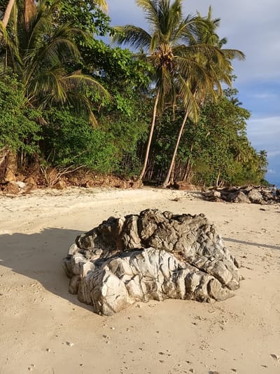 The image depicts a tranquil beach scene in Baan Pang Ka, Thailand. The foreground is dominated by a large, rugged rock formation situated on the sandy shore. Behind the rock, the sand stretches towards a dense line of lush green trees and palm trees, characteristic of a tropical environment. The sky above is a clear blue with a few wispy clouds, suggesting pleasant weather. The sunlight casts shadows across the sand, indicating it is likely late afternoon or early morning. No people are prominently featured in the immediate foreground, but a small figure is visible in the distance on the right side of the image, walking along the beach. The overall impression is one of a serene and natural coastal landscape.